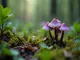 ein-blick-in-die-welt-der-violetten-pilzarten-seltene-schoenheiten-im-wald