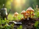 outdoor-zucht-guide