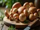 pilzarten-zum-kochen-die-besten-sorten-fuer-deine-rezepte