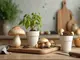 so-kannst-du-champignons-selber-aus-resten-zuechten