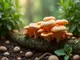 so-zuechtest-du-reishi-pilze-tipps-und-tricks-fuer-einsteiger